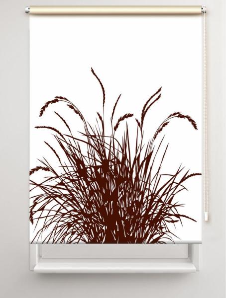 Rollo Reed24 coffee  blanco, Rollo, Motivrollo, Rollo mit Druck, Fotorollo, bedrucktes Rollo, Fensterrollo,verdunkelndes Rollo, Sonnenschutz Rollo